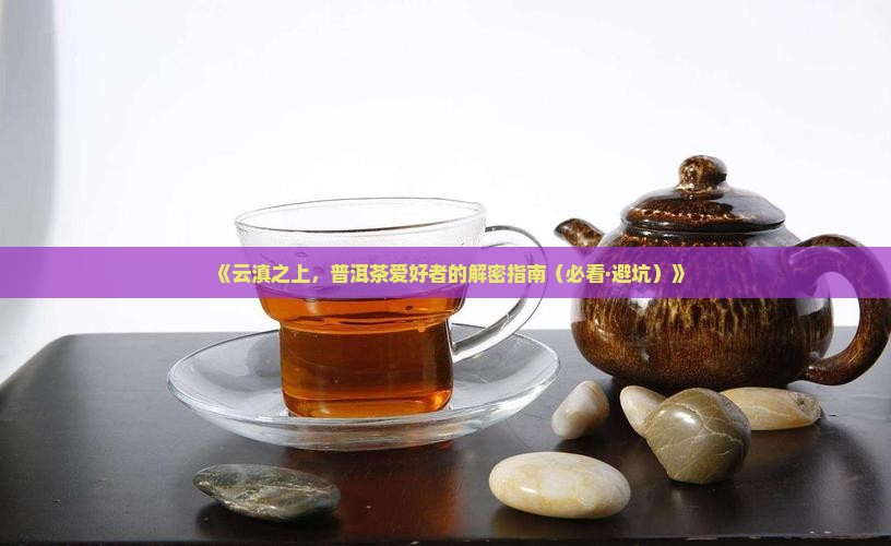 云滇之上普洱茶