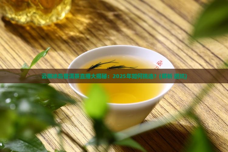 云南冰岛普洱茶直播