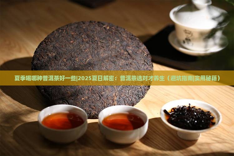 夏季喝哪种普洱茶好一些