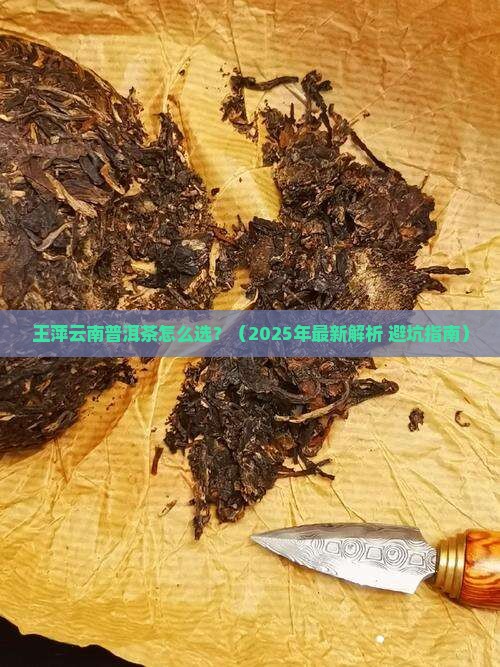 王萍云南普洱茶