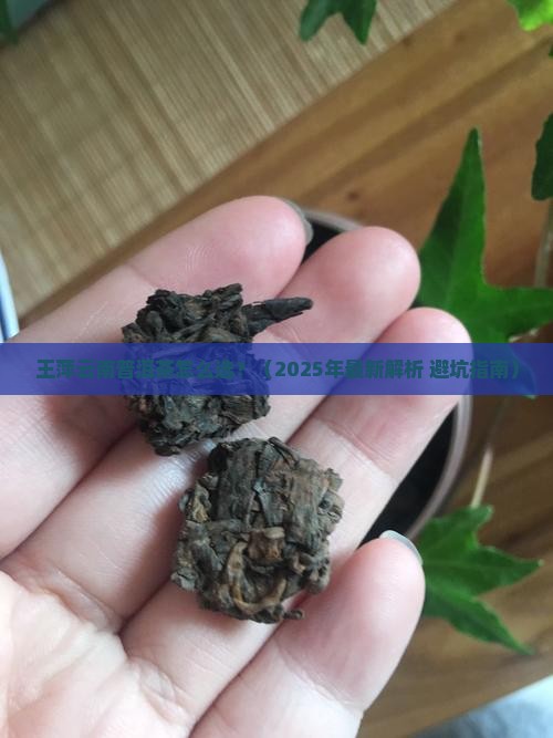 王萍云南普洱茶