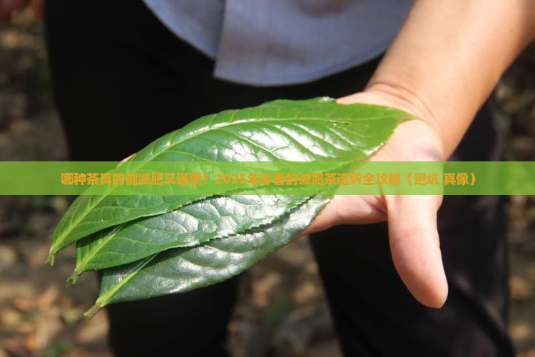 什么茶有减肥作用通便减肥茶