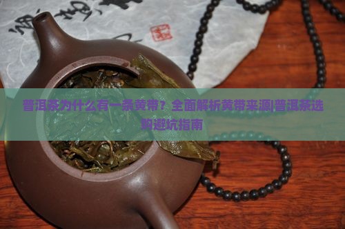 普洱茶为什么有一条黄带