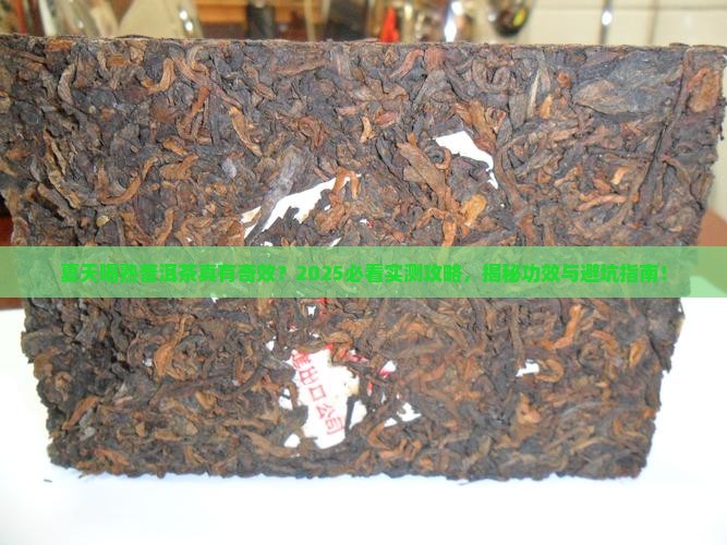 夏天喝熟普洱茶的功效与禁忌