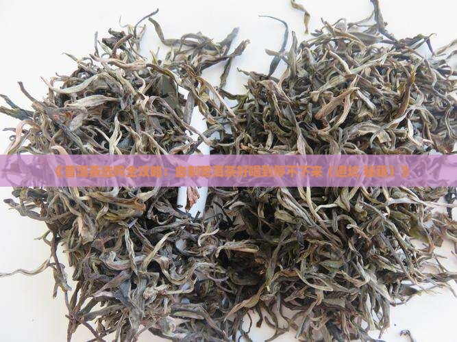 自制普洱茶超级好喝 自制普洱茶超级好喝