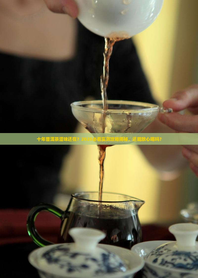 十年普洱茶还有涩味吗还能喝吗