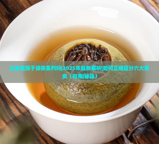 白茶是属于绿茶系列吗