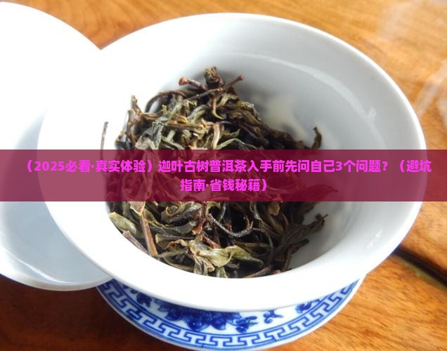 迦叶古树普洱茶