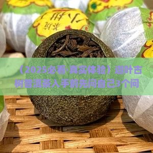 迦叶古树普洱茶