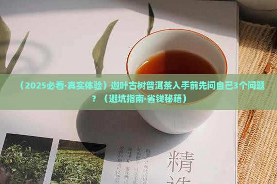 迦叶古树普洱茶