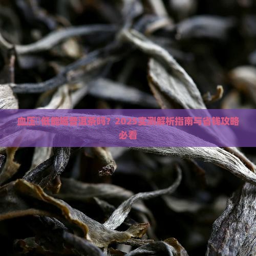 血压徧低能喝普洱茶吗