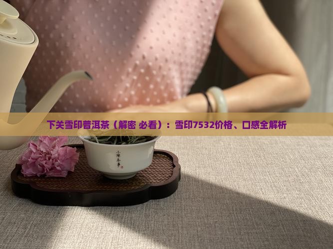 下关雪印普洱茶
