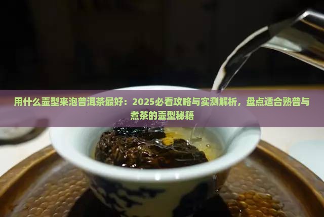 用什么壶型来泡普洱茶
