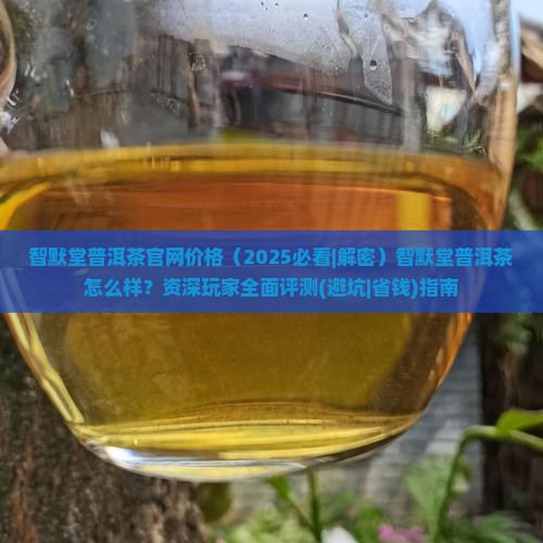 智默堂普洱茶官网价格