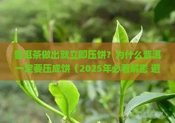 普洱茶做出来就立即压饼