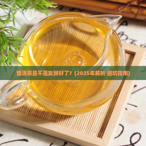 普洱茶是不是发酵好了