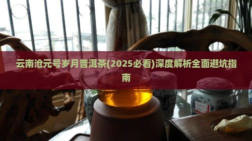 云南沧元号岁月普洱茶