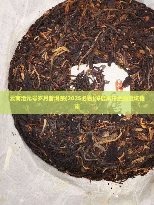 云南沧元号岁月普洱茶