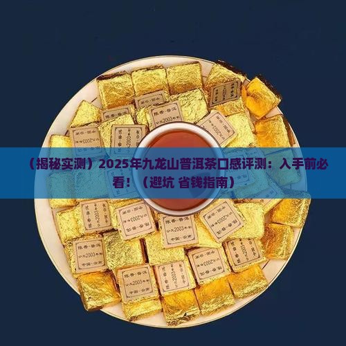 九龙山普洱茶怎么样