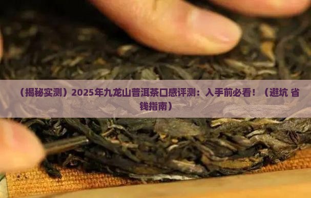 九龙山普洱茶怎么样