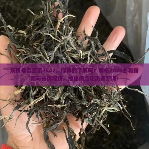庆良号普洱茶7542