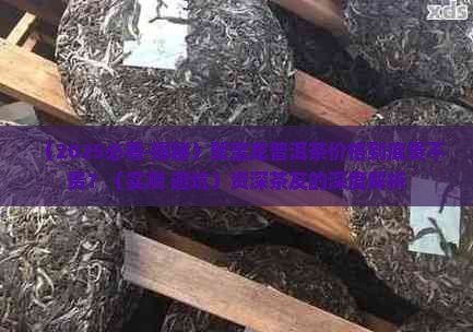 聚宝龙普洱茶价格
