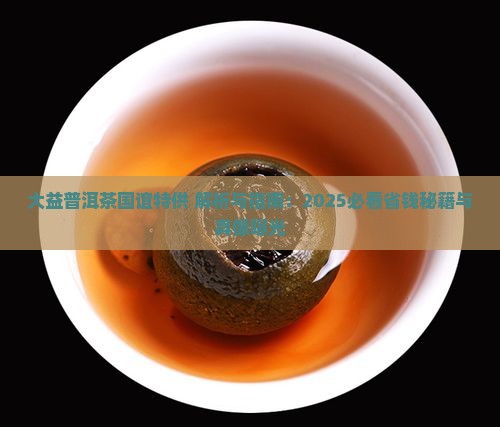 大益普洱茶国谊特供