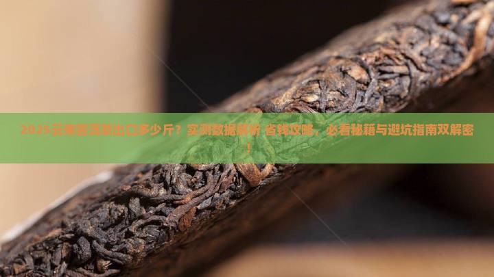 云南普洱茶出口多少斤