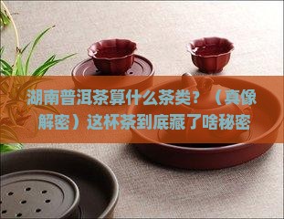 湖南普洱茶是什么茶类