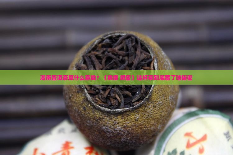 湖南普洱茶是什么茶类