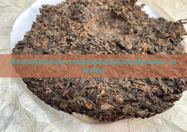 泡小青柑需要洗茶吗