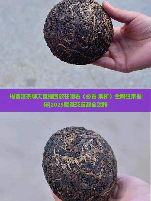 喝普洱茶聊天直播回放在哪看