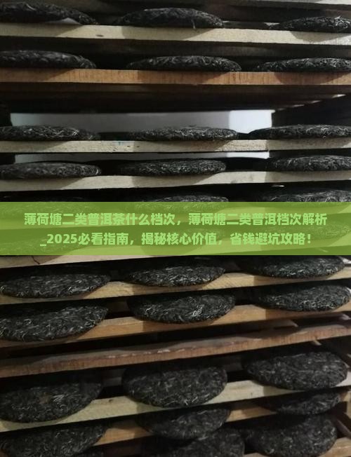 薄荷塘二类普洱茶什么档次 薄荷塘二类普洱茶什么档次