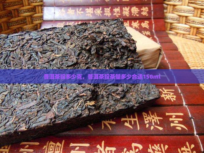 普洱茶投多少克