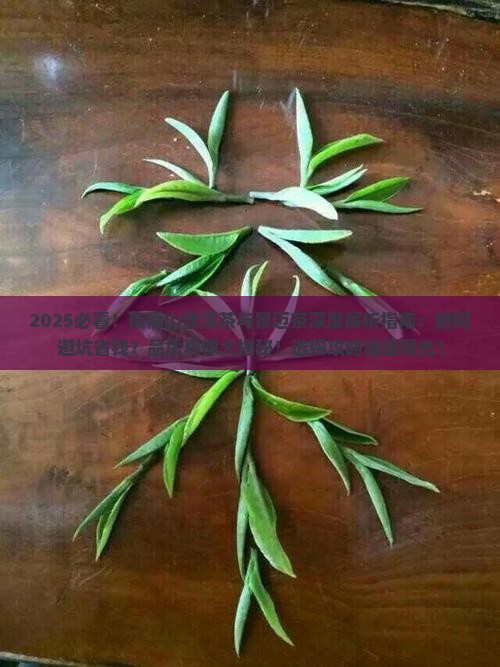 南糯山普洱茶与景迈茶