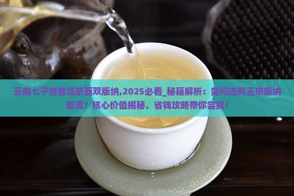 云南七子饼普洱茶西双版纳