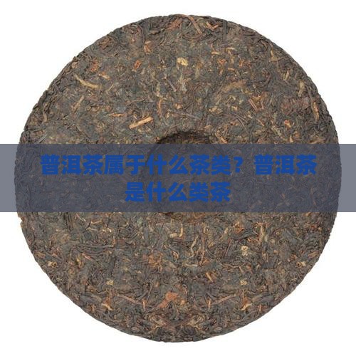 普洱茶是什么类茶