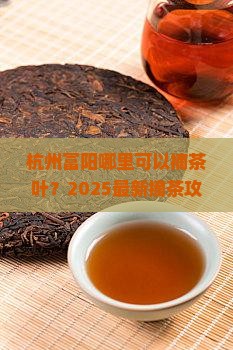 杭州富阳哪里可以摘茶叶