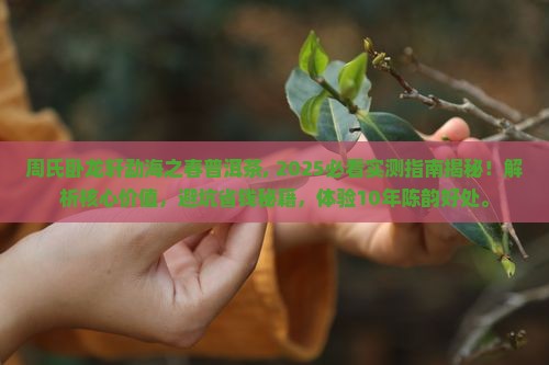 周氏卧龙轩勐海之春普洱茶
