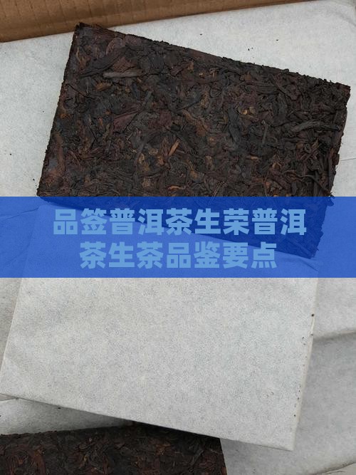 品签普洱茶生荣