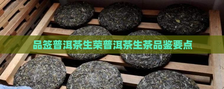 品签普洱茶生荣