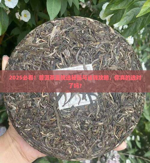 普洱茶适合什么壶好