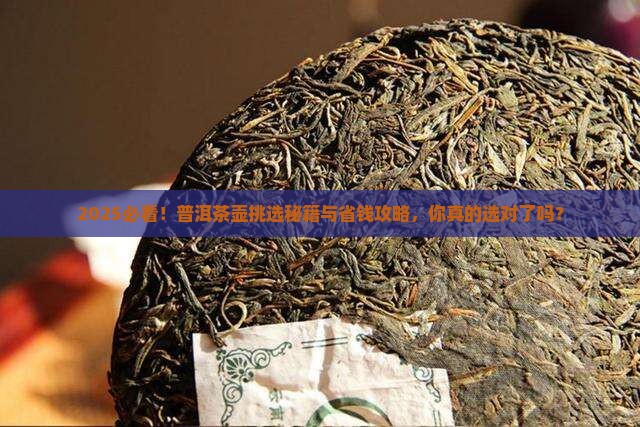普洱茶适合什么壶好