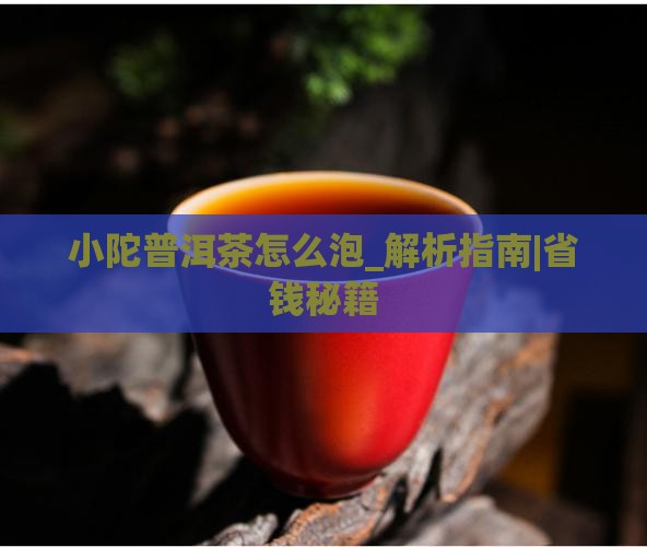 小陀普洱茶怎么泡