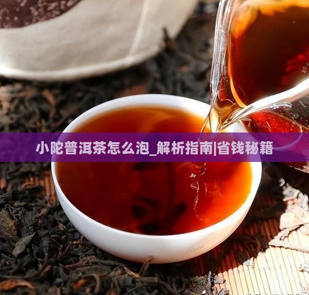 小陀普洱茶怎么泡