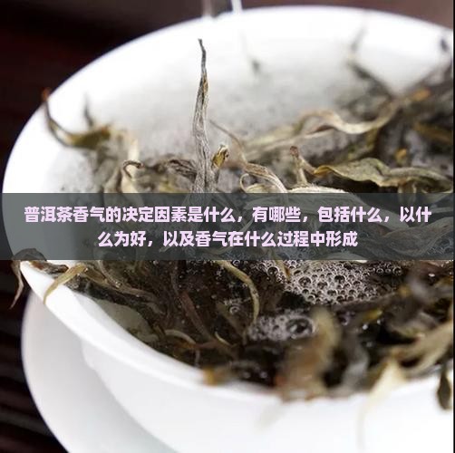 普洱茶香气的决定因素