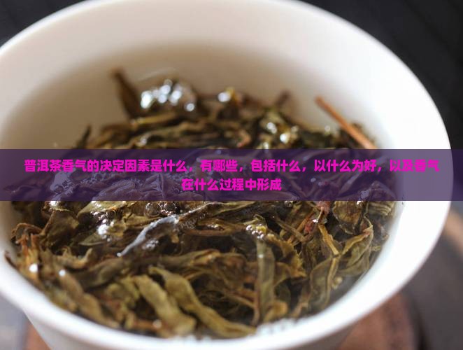 普洱茶香气的决定因素