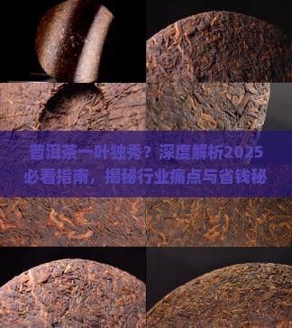 普洱茶一叶独秀