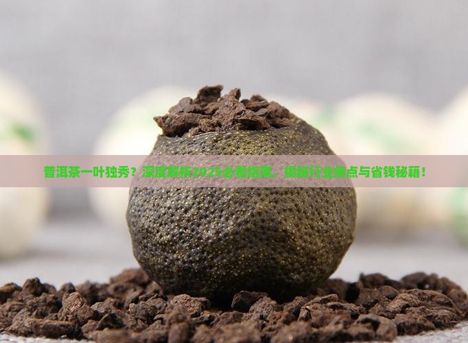 普洱茶一叶独秀