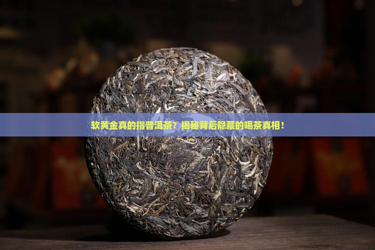 软黄金指的是普洱茶吗